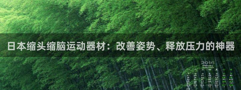 海南意昂体育3：日本缩头缩脑运动器材：改善姿势、释放