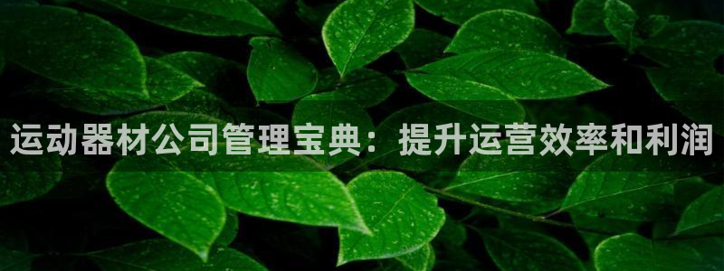 意昂体育3平台假的吗是真的吗吗：运动器材公司管理宝典：提升运