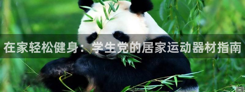 意昂体育3是干嘛的公司:在家轻松健身:学生党的居家运动器材指