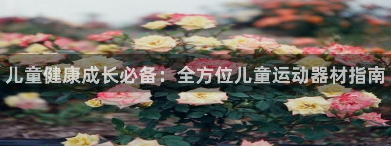 意昂体育3平台注册要钱吗:儿童健康成长必备:全方位儿童运动器